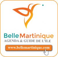 Logo Belle Martinique